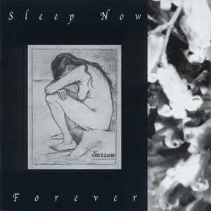 Sleep, now forever